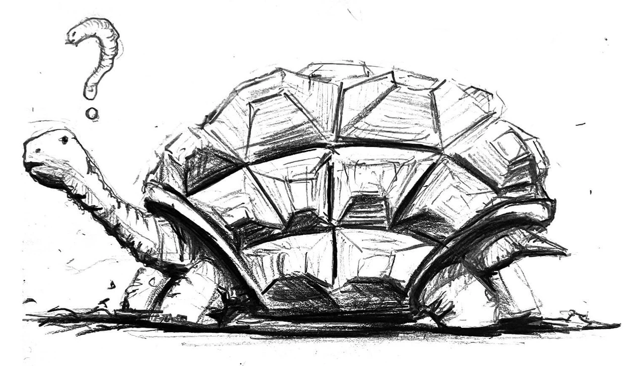 Sketch of a turtle
